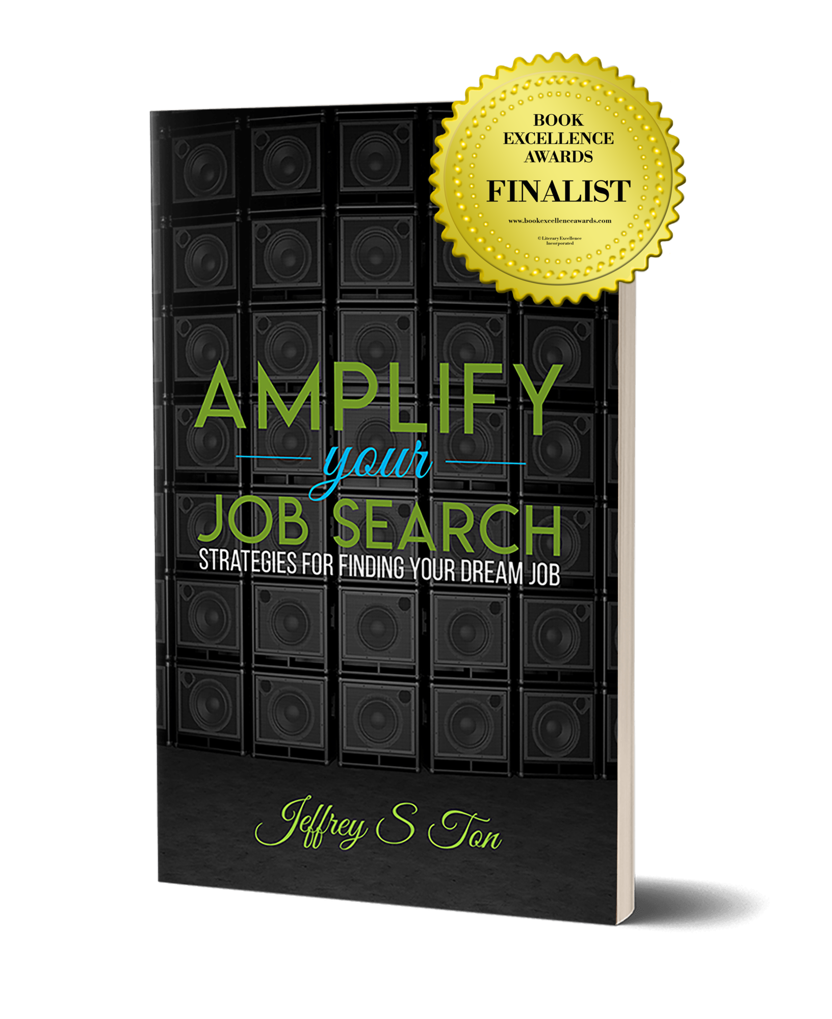 Amplify Your Job Search - Book Excellence Award Finalist